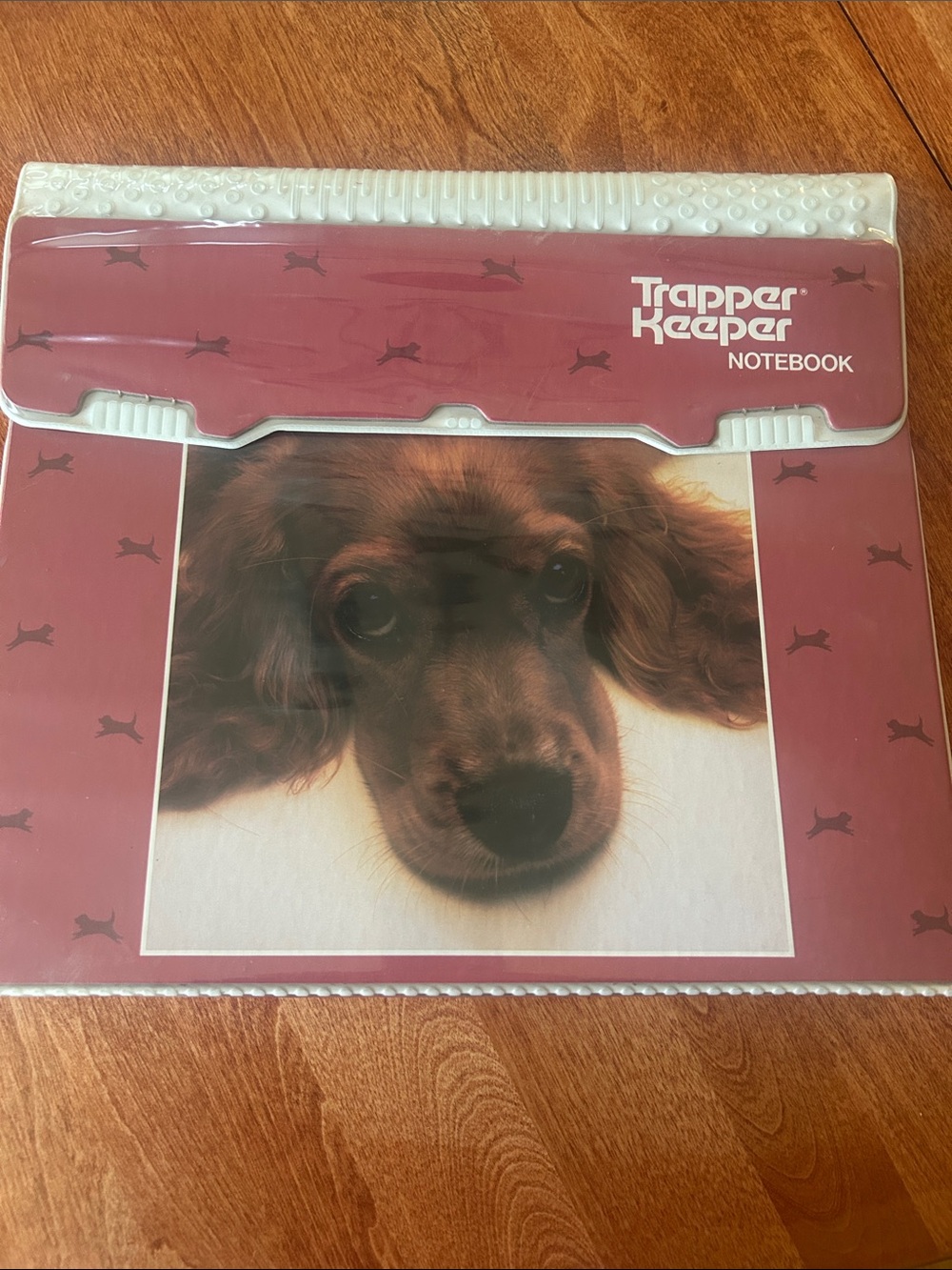 Vintage Dog Trapper Keeper Notebook